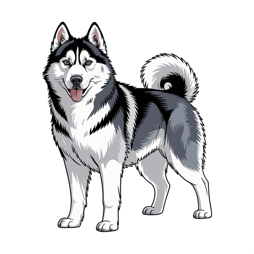 Dog Lovers Theme Siberian Husky Dog Transparent Sticker